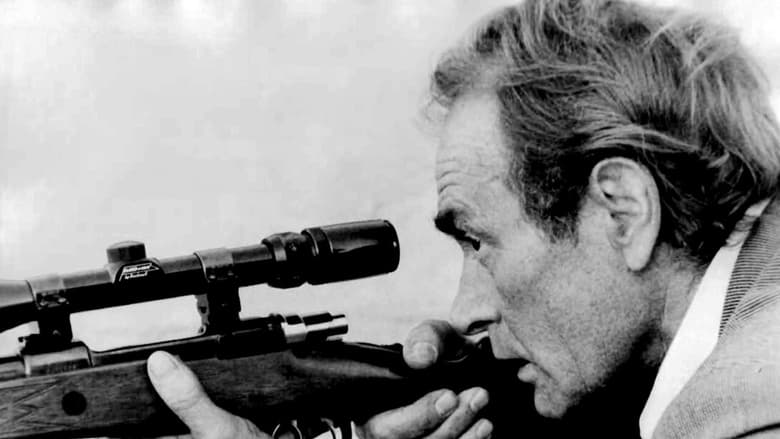 кадр из фильма Вы должны убить B.