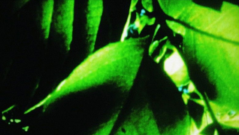 кадр из фильма All That Rises