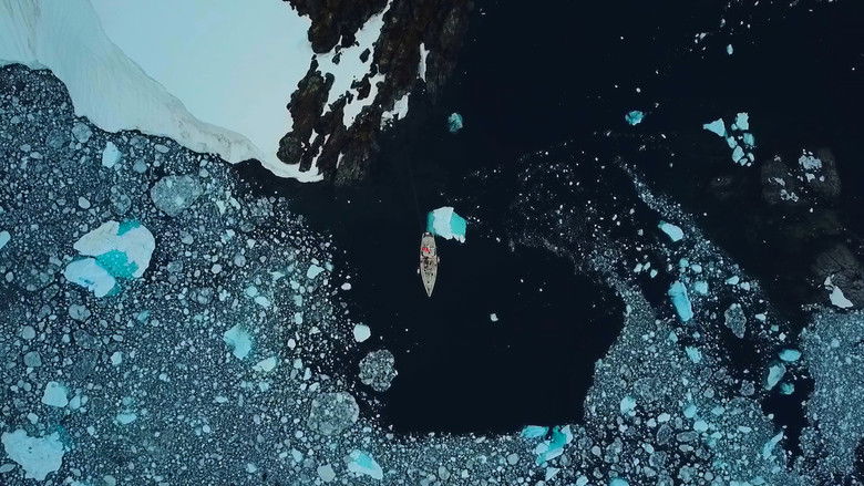 кадр из фильма Observations at 65° South