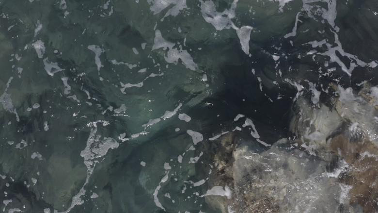 кадр из фильма Semidei