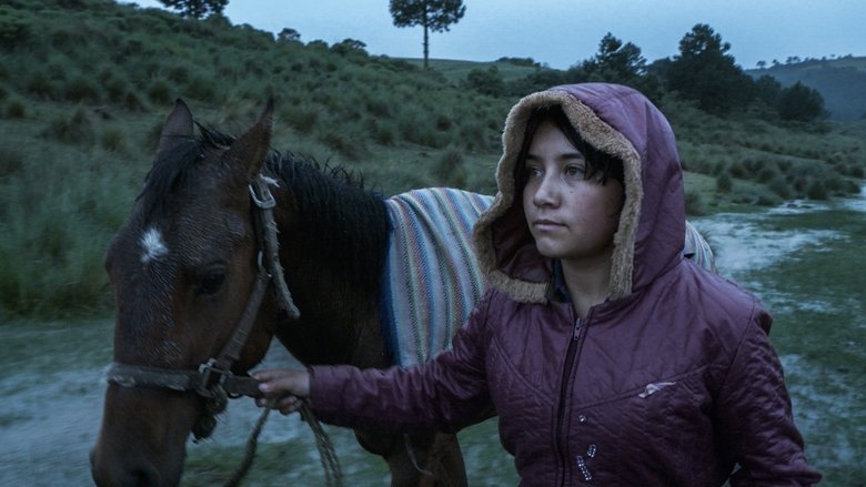 кадр из фильма Эхо