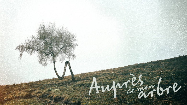 кадр из фильма Auprès de mon arbre