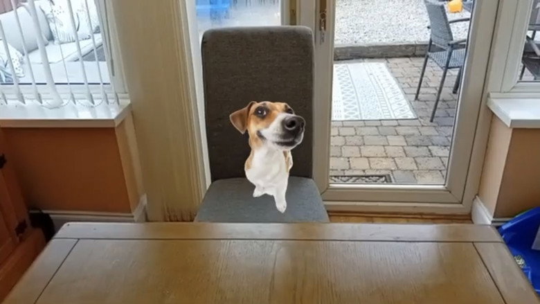 кадр из фильма The Alien Games