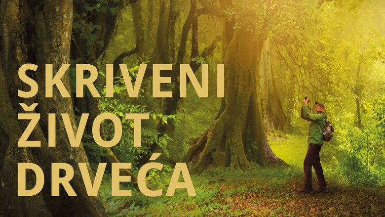 кадр из фильма Das geheime Leben der Bäume