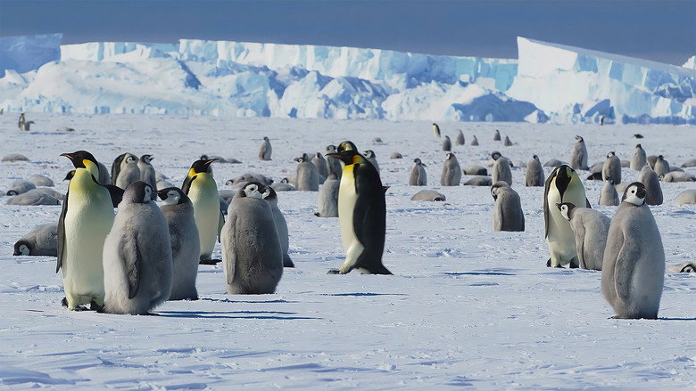 Antarctica 2024 - Un voyage vers l’engagement