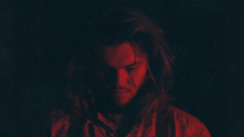 кадр из фильма The Monsters Hunt at Night