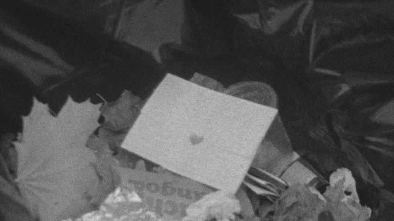 кадр из фильма Love Letter