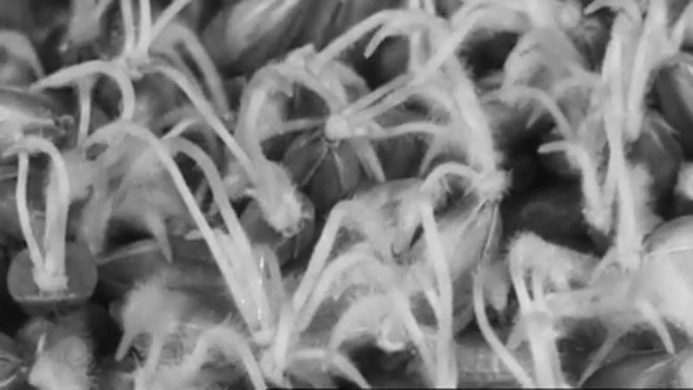 кадр из фильма Brewster's Magic