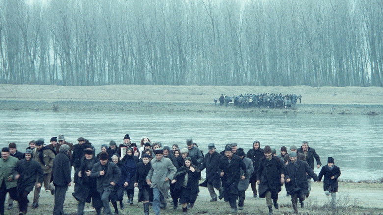 кадр из фильма Прерванный шаг аиста