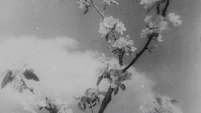 кадр из фильма Бежин луг