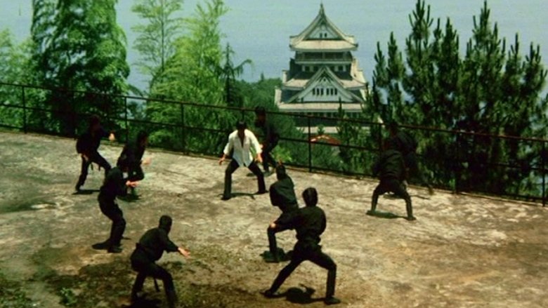 кадр из фильма 武闘拳　猛虎激殺！