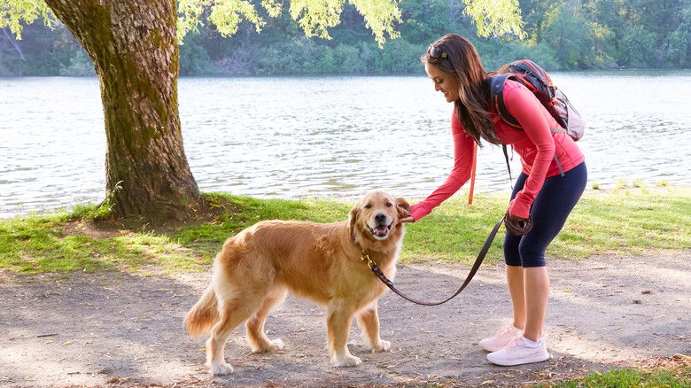 кадр из фильма Любовь и Солнце
