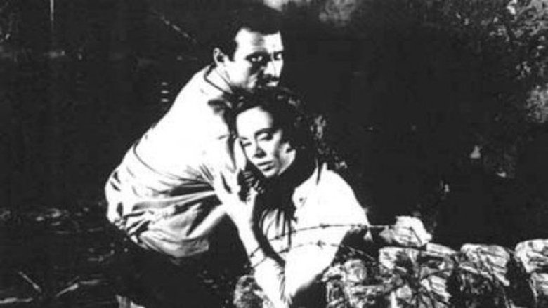 кадр из фильма Джамиля