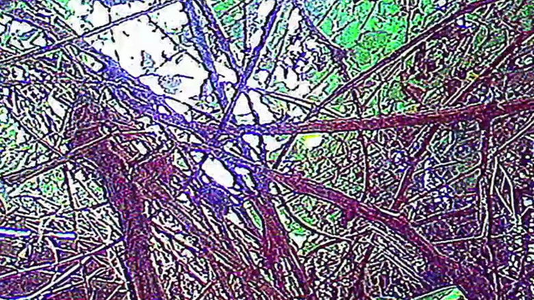 кадр из фильма Vague Void