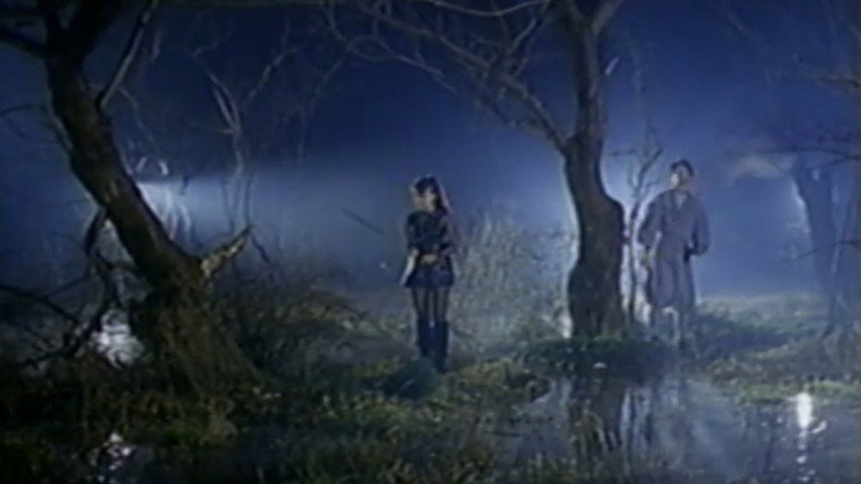 кадр из фильма ザ・忍者ウォリア－ズ　くノ一戦士