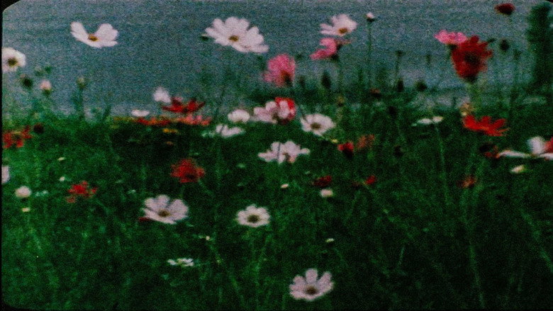 кадр из фильма Воспоминания о поездке в Литву