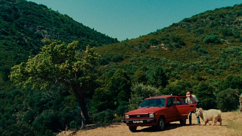 кадр из фильма O Que Resta