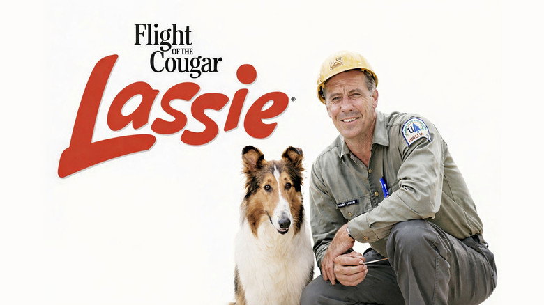 кадр из фильма Lassie and the Flight of the Cougar