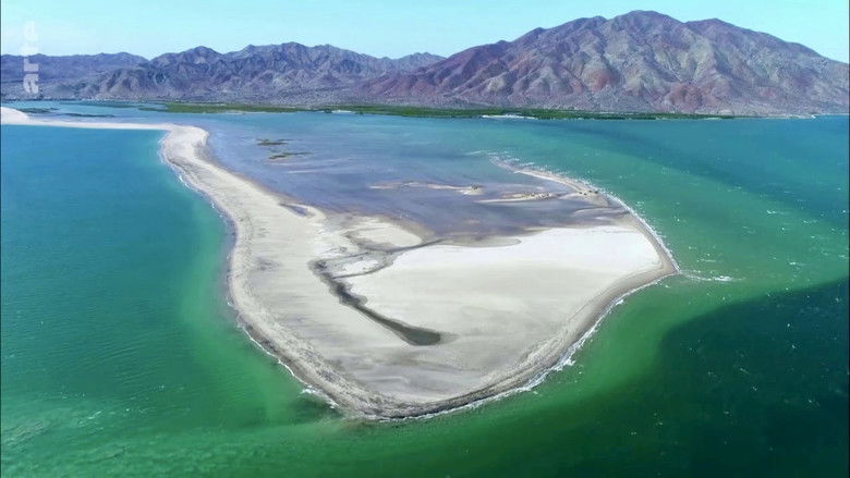 кадр из фильма Mexique, sur les routes des migrateurs