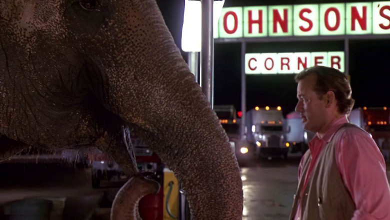 кадр из фильма Больше чем жизнь