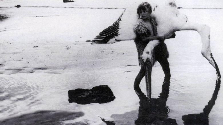 кадр из фильма Молодые Афродиты