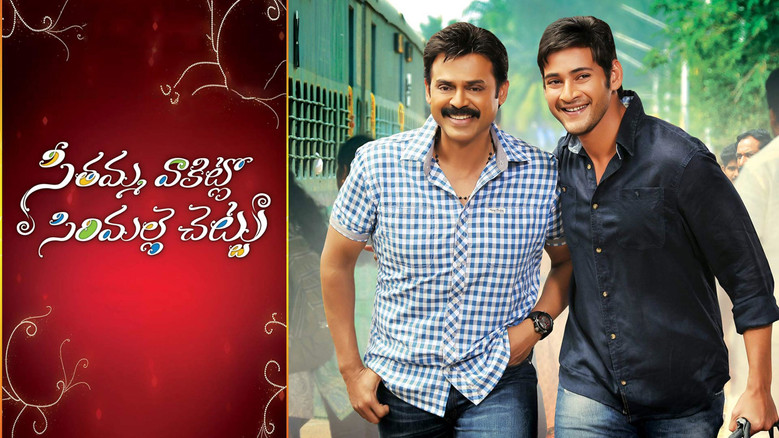 кадр из фильма Ветка жасмина у дома Ситы