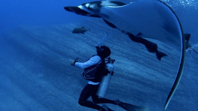 кадр из фильма Alien Contact