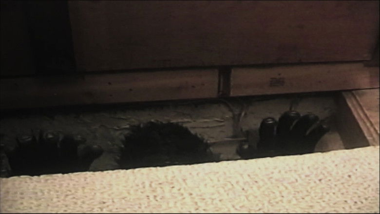 кадр из фильма Four Months Ago My Sister Went Missing and I'm Beginning to Worry She May Be Dead Or Worse