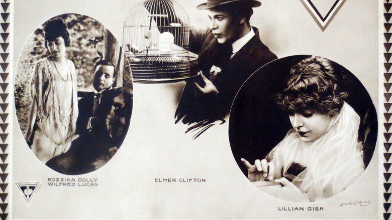 кадр из фильма The Lily and the Rose