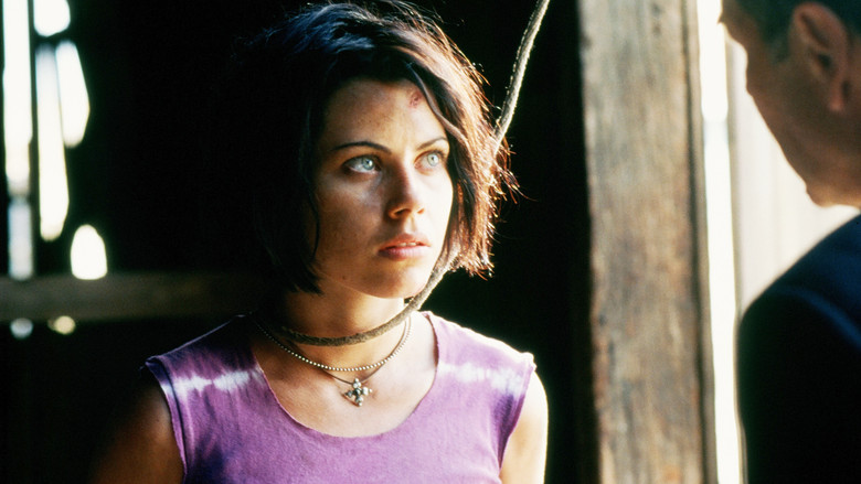 кадр из фильма Американское совершенство