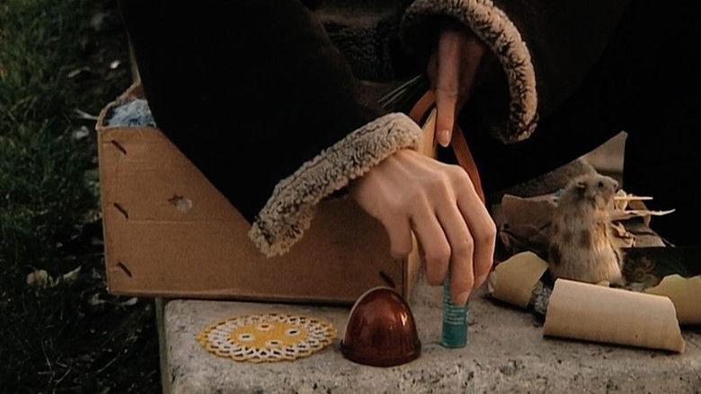 кадр из фильма Собиратели и собирательница... два года спустя