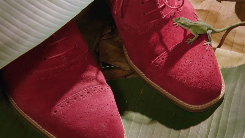 кадр из фильма Manolo: The Boy Who Made Shoes for Lizards