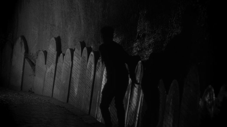 кадр из фильма Narcissus