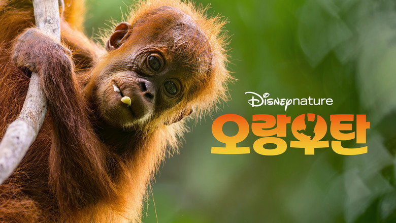 кадр из фильма Orangutan