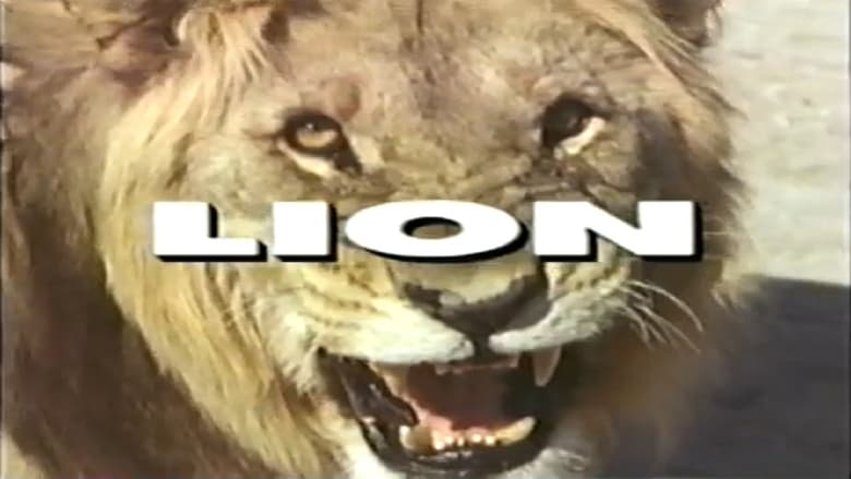 кадр из фильма Predators of the Wild: Lion