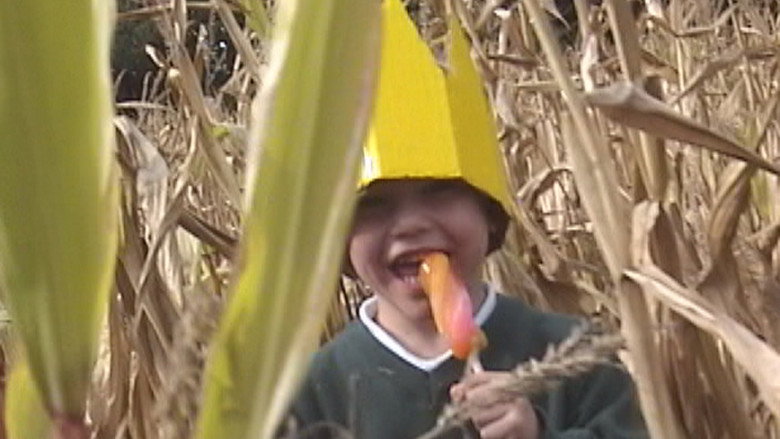 кадр из фильма The Ice Lolly King