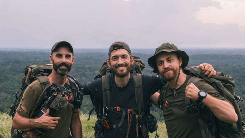 кадр из фильма TAÏ: 33 jours dans la dernière forêt primaire d’Afrique de l’Ouest