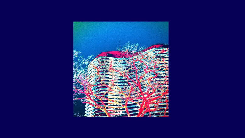 кадр из фильма Bassman