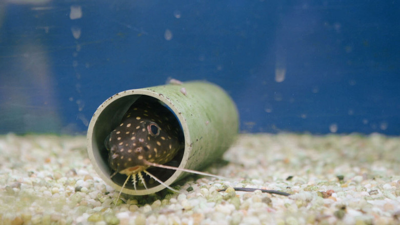 кадр из фильма Bubble