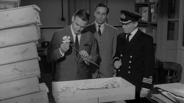 кадр из фильма Тайна золотистых нарциссов