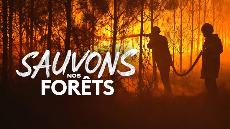 кадр из фильма Sauvons nos Forêts
