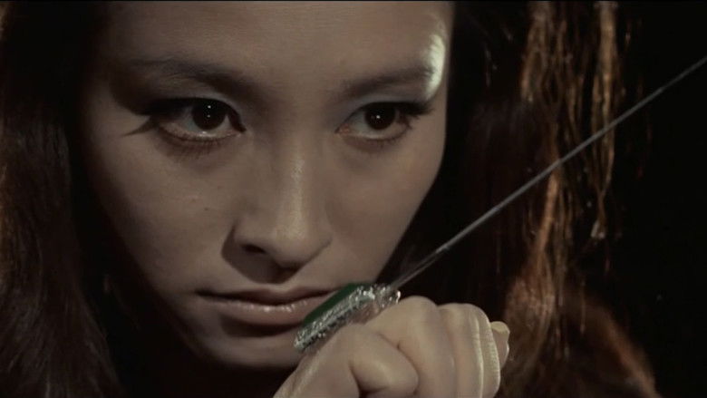 кадр из фильма 女殺し屋　牝犬