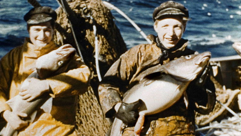 кадр из фильма Voyage de documentation de Madame Anita Conti