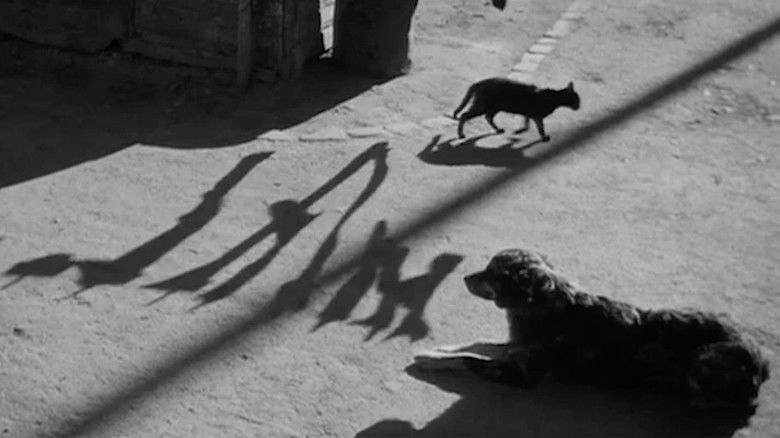 кадр из фильма Пуэнт-Курт