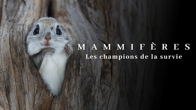 кадр из фильма Mammifères, les champions de la survie