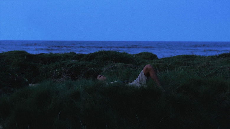 кадр из фильма langgam, langgam