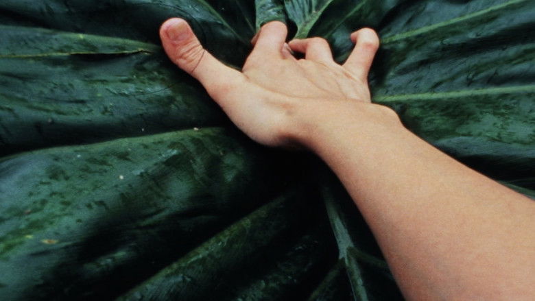 кадр из фильма Between Relating and Use