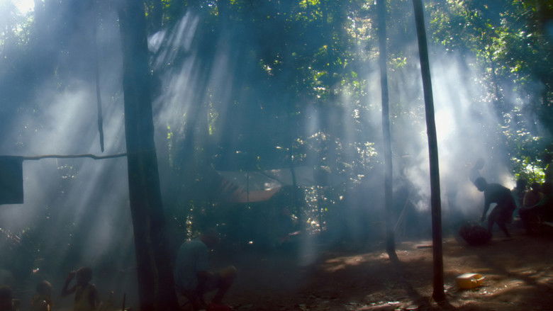 кадр из фильма Song from the Forest