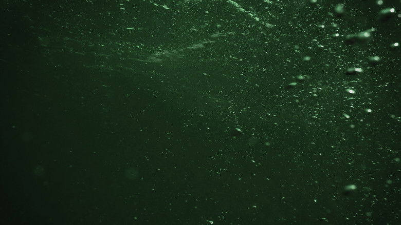 кадр из фильма SARCO