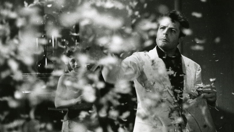 кадр из фильма Marcello Mastroianni - Mi ricordo, sì, io mi ricordo